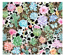Succulent Cactus & Cow 12 x 12 Full Color Permanent Vinyl Sheet